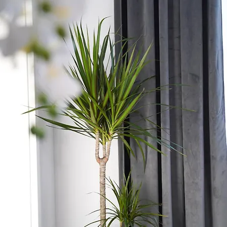 Lejlighed Modernes Design-apartment - Nahe - Parking - Self-check-in